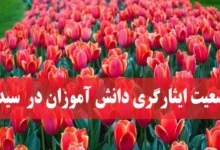 استعلام وضعیت ایثارگری دانش آموزان در سامانه سیدا استعلام بنیاد شهید (1)